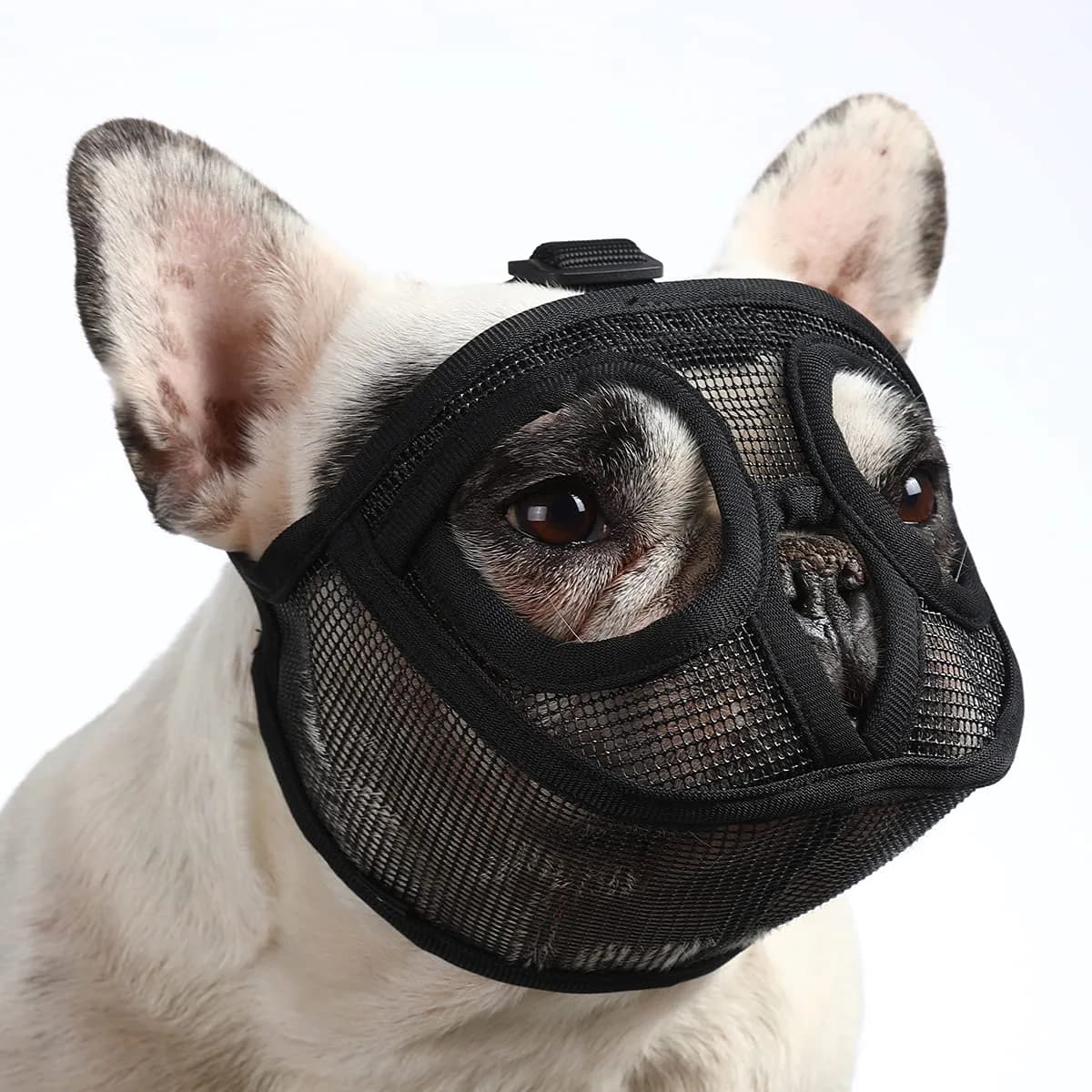 BARKLESS Short Snout Muzzle for French Bulldog, Shih Tzu | Breathable Mesh & Adjustable Strap — Black / S (Head 15.0-17.5'')