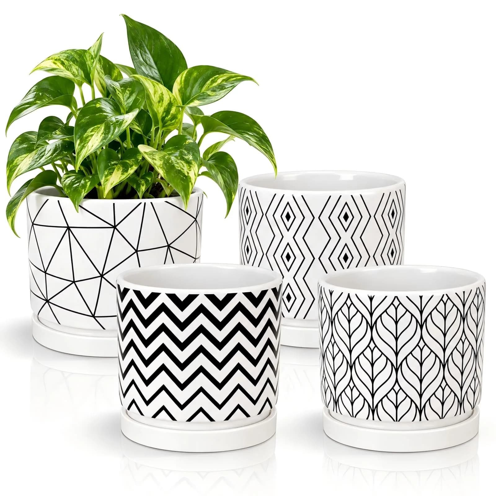 Ton Sin White Ceramic Flower Pots 5.5 Inch | Indoor Planters with Drainage for Succulents & Houseplants