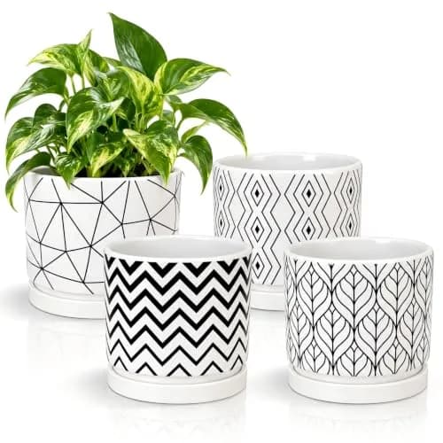 Ton Sin White Ceramic Flower Pots 5.5 Inch | Indoor Planters with Drainage for Succulents & Houseplants thumbnail 1