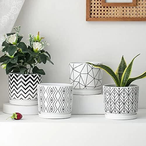 Ton Sin White Ceramic Flower Pots 5.5 Inch | Indoor Planters with Drainage for Succulents & Houseplants thumbnail 5