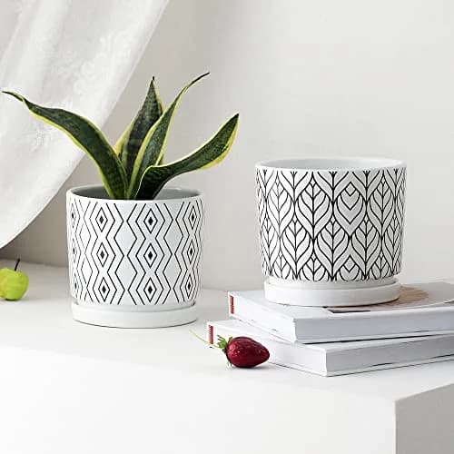 Ton Sin White Ceramic Flower Pots 5.5 Inch | Indoor Planters with Drainage for Succulents & Houseplants thumbnail 6