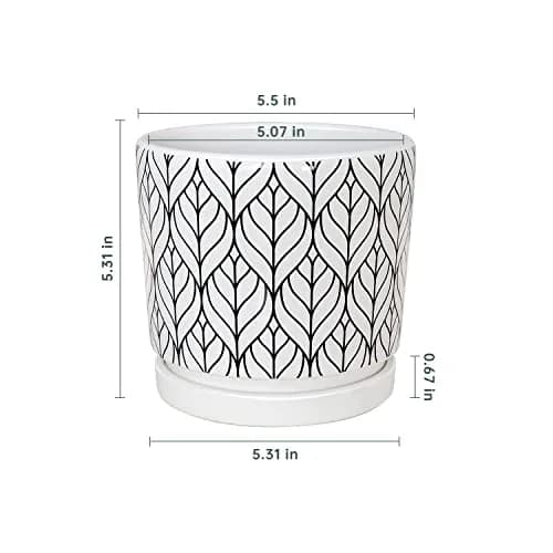 Ton Sin White Ceramic Flower Pots 5.5 Inch | Indoor Planters with Drainage for Succulents & Houseplants thumbnail 2