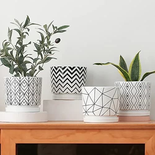 Ton Sin White Ceramic Flower Pots 5.5 Inch | Indoor Planters with Drainage for Succulents & Houseplants thumbnail 3