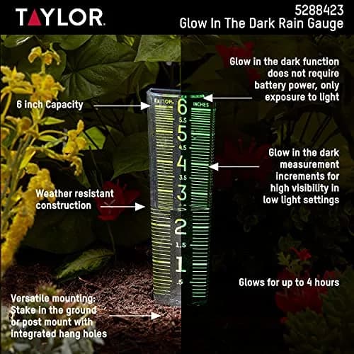 Taylor Glow-In-The-Dark Mountable Rain Gauge, 15.6 cm (6 inch) Capacity | Measure Precipitation Accurately thumbnail 4