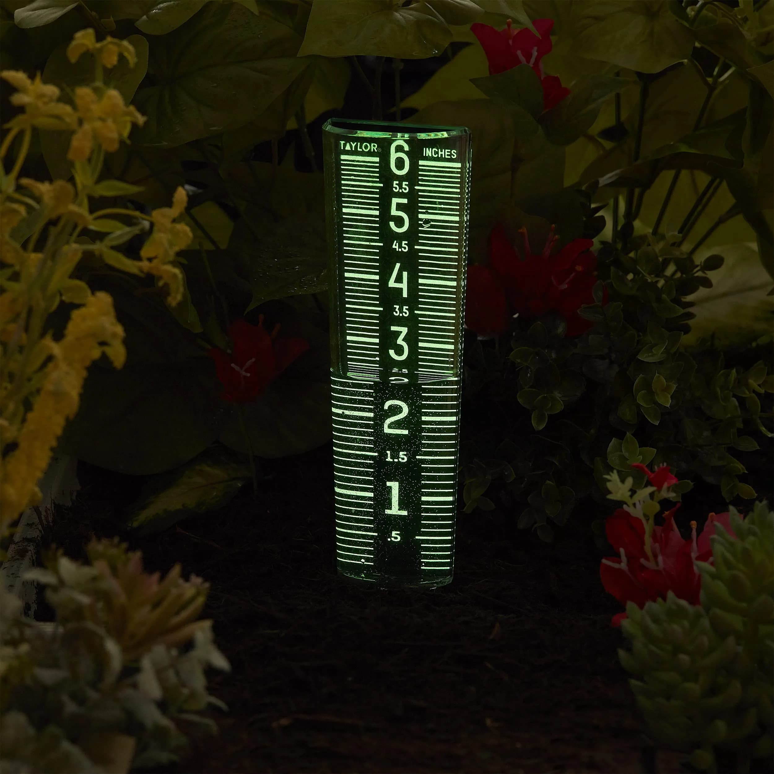 Taylor Glow-In-The-Dark Mountable Rain Gauge, 15.6 cm (6 inch) Capacity | Measure Precipitation Accurately - view 5