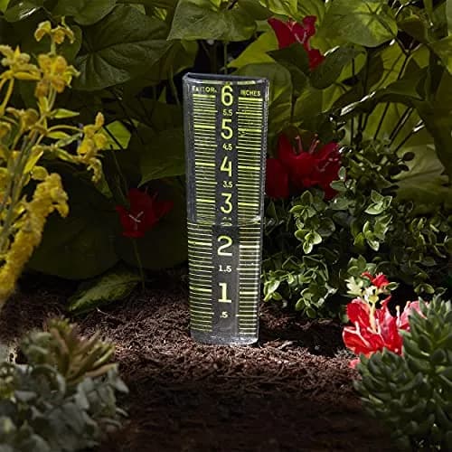 Taylor Glow-In-The-Dark Mountable Rain Gauge, 15.6 cm (6 inch) Capacity | Measure Precipitation Accurately thumbnail 6