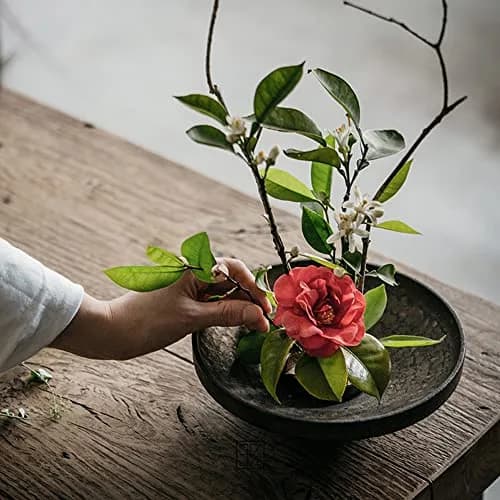 alladaga Stainless Steel Pin Flower Frog Arrangement Holder 80mm (3.2 Inch) | 331 Needles for Stable Floral Crafting thumbnail 3