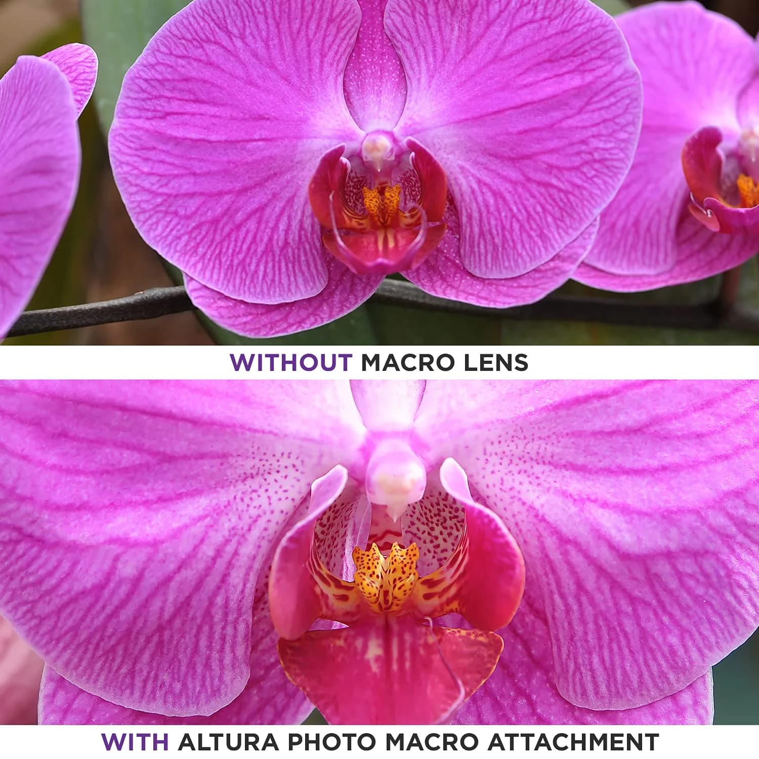Altura Photo 49mm Wide Angle Lens with Macro for Canon EOS M50, R100 | 0.43x HD Coating - view 7