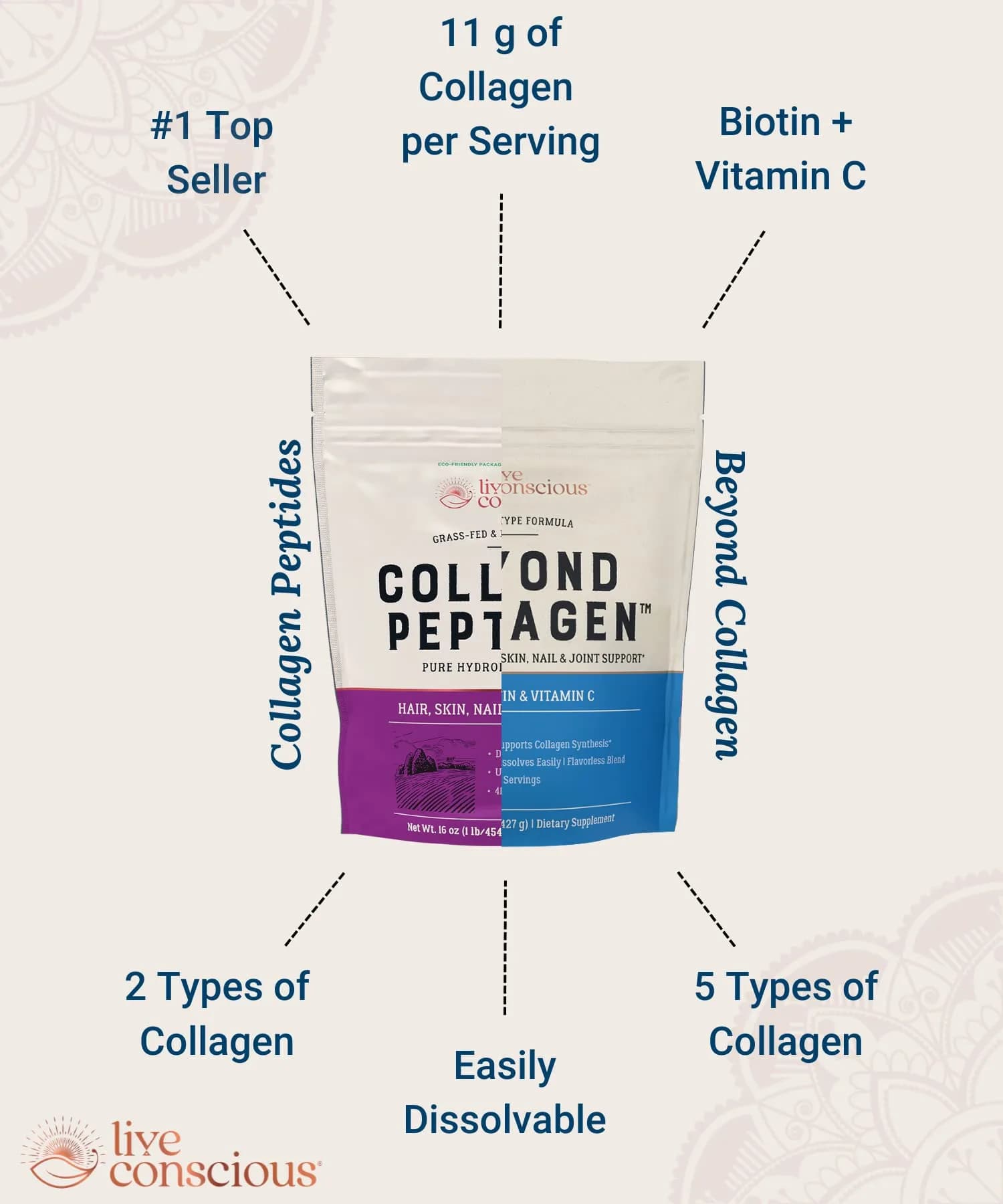 Live Conscious Collagen Peptides Powder Type I & III, 7.8 oz (221g) | Hydrolyzed Bovine Protein for Skin, Hair, Nails - view 4