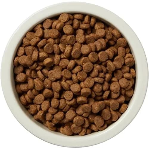 WAG Adult Premium Nutrition Dry Dog Food Supports Stomach & Skin 30 lb | Lamb & Brown Rice thumbnail 5