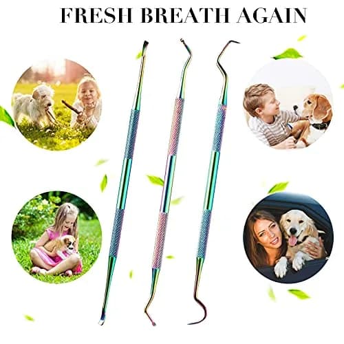 Hotop Dog Tooth Scaler Scraper Dental Tool Stainless Steel Rainbow Color | Pet Dental Care thumbnail 3