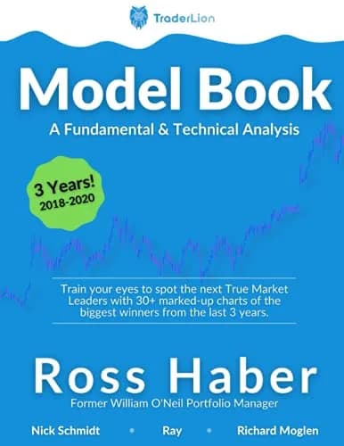 TraderLion Model Book: Fundamental & Technical Analysis Paperback | 78 Pages thumbnail 1