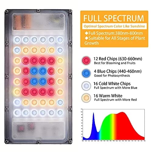 LBW Grow Light for Indoor Plants, Full Spectrum Desk LED Plant Light | Adjustable, Energy Efficient, 30W thumbnail 3