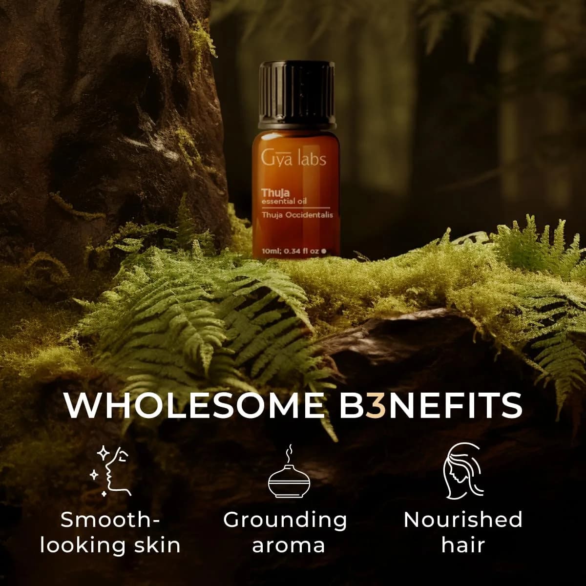 Gya Labs Thuja Essential Oil 10ml (0.34 Fl Oz) | USA Imported for Hair, Skin & Candle Making thumbnail 5