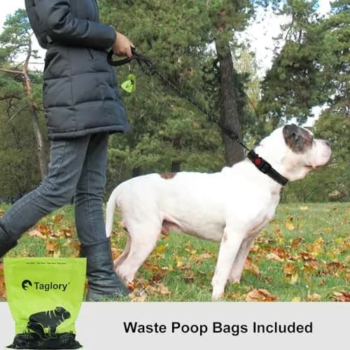 Taglory 6 FT (1.83 m) Padded Handle Rope Dog Leash | Heavy Duty Climbing Rope for Large Dogs thumbnail 2