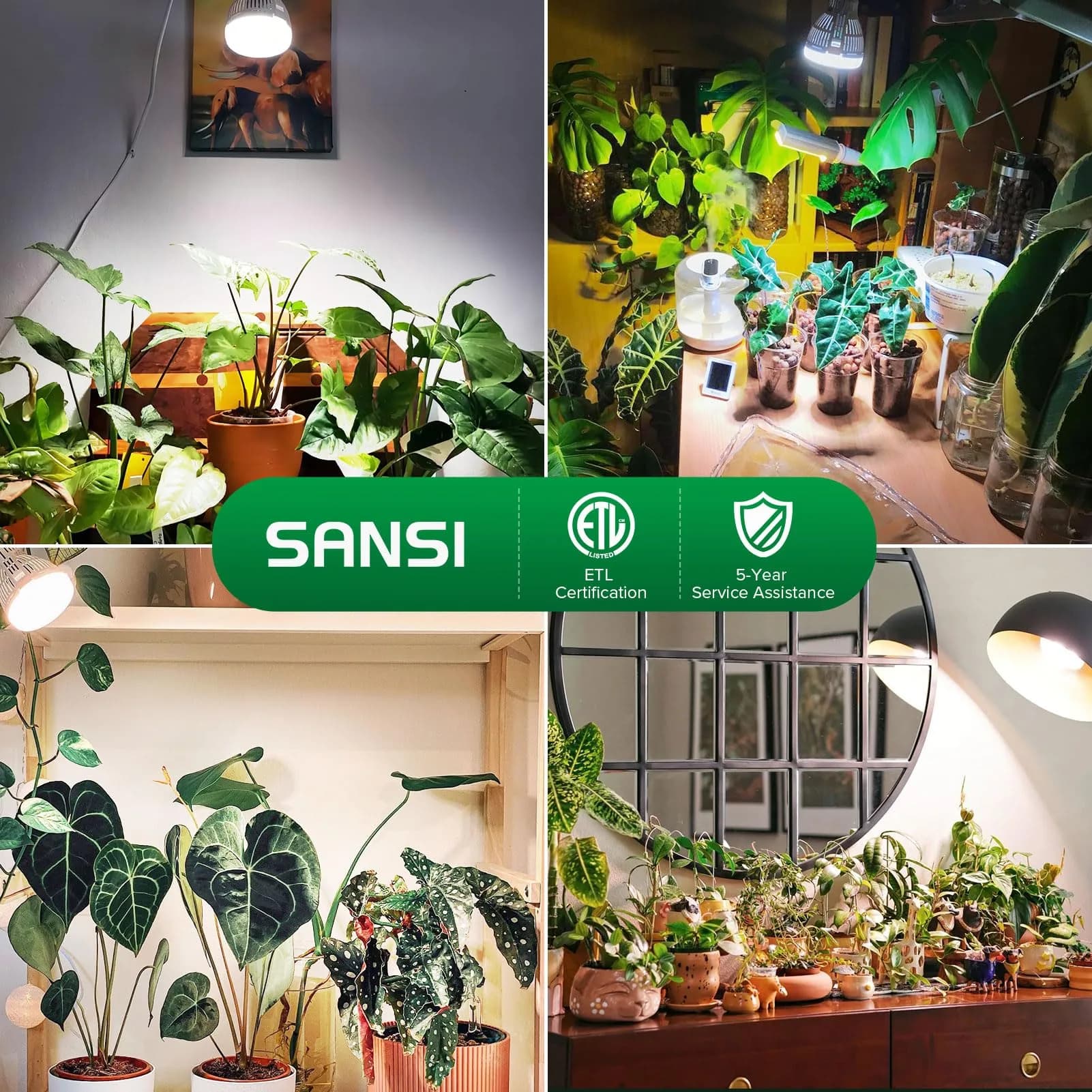 SANSI 10W Full Spectrum Grow Light Bulb 4000K Daylight | 150W Equivalent LED for Indoor Plants - view 6