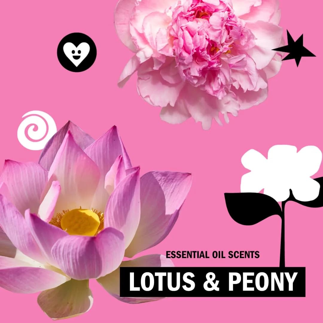 Molly's Suds Original Laundry Detergent Powder, 120 Loads (Lotus & Peony) | Sensitive Skin Formula - view 6
