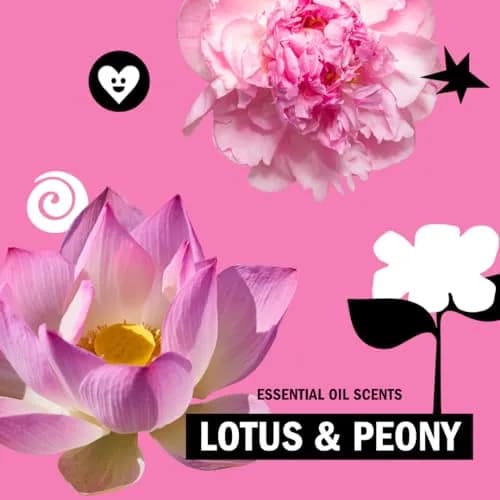 Molly's Suds Original Laundry Detergent Powder, 120 Loads (Lotus & Peony) | Sensitive Skin Formula thumbnail 6