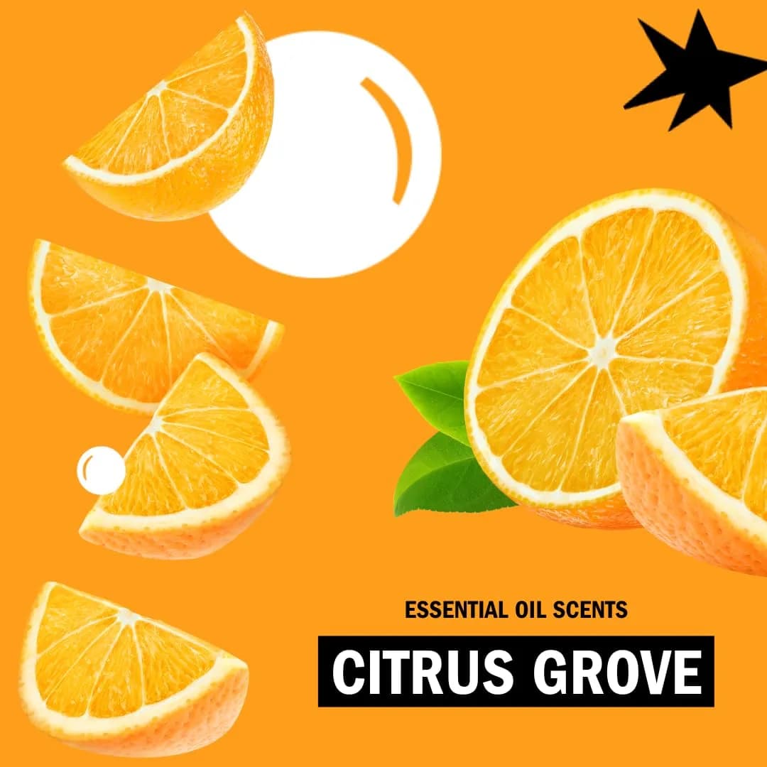 Molly's Suds Original Laundry Detergent Powder Citrus Grove 79 oz (2.24 kg) | Gentle & Effective for Sensitive Skin - view 6