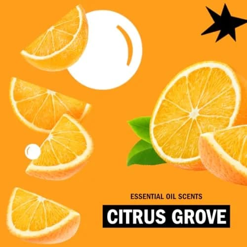 Molly's Suds Original Laundry Detergent Powder Citrus Grove 79 oz (2.24 kg) | Gentle & Effective for Sensitive Skin thumbnail 6