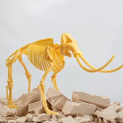 Science4you Mammoth Dinosaur Fossil Digging Kit - Excavate & Assemble 17 Dino Bones | Paleontology Fun for Kids 6-14 thumbnail 5