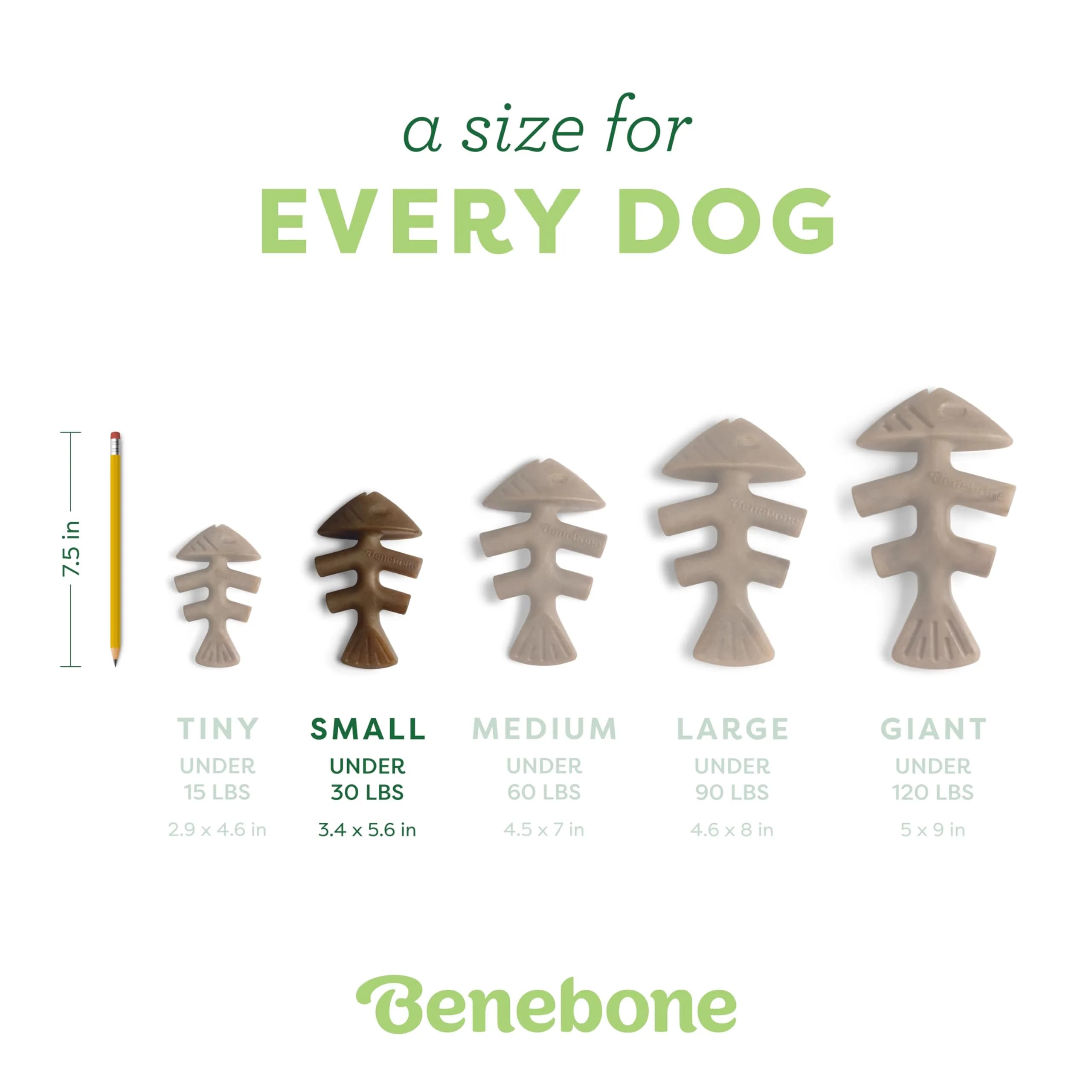 Benebone Fishbone Dental Dog Chew Toy for Aggressive Chewers, Real Fish, Made in USA, Small (0.15 kg) - view 4
