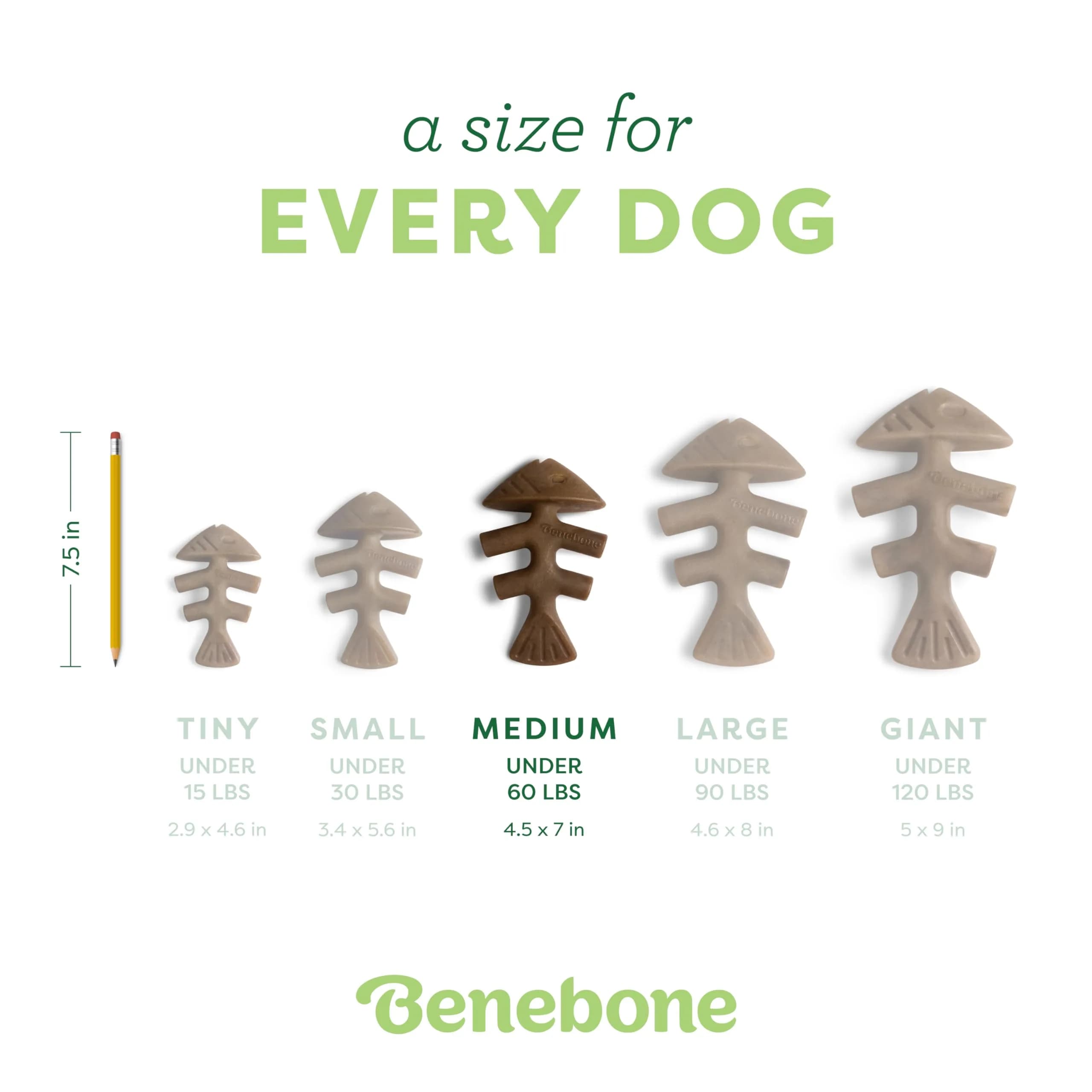 Benebone Brown Fishbone Dental Chew Toy for Aggressive Chewers - Medium - view 4