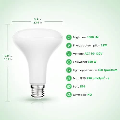 Briignite BR30 LED Grow Light Bulb 12W (1000 Lumens) | Full Spectrum for Seeds & Greens thumbnail 4