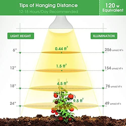 Briignite BR30 LED Grow Light Bulb 12W (1000 Lumens) | Full Spectrum for Seeds & Greens thumbnail 6