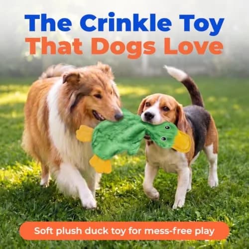 Best Pet Supplies Interactive Squeaky Dog Toy - Crinkle Duck, Green | No Stuffing, Crinkle Paper, Squeaker, 15" thumbnail 2