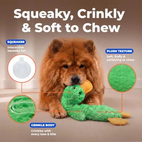 Best Pet Supplies Interactive Squeaky Dog Toy - Crinkle Duck, Green | No Stuffing, Crinkle Paper, Squeaker, 15" thumbnail 3