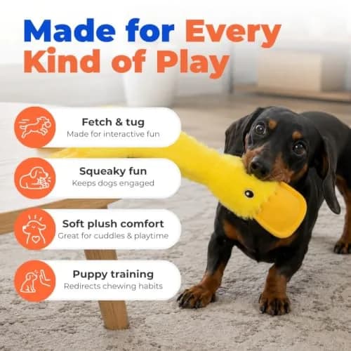 Best Pet Supplies Interactive Squeaky Dog Toy - Crinkle Duck, Yellow | No Mess, Durable & Fun (70-120 chars) thumbnail 4