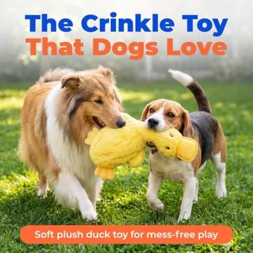 Best Pet Supplies Interactive Squeaky Dog Toy - Crinkle Duck, Yellow | No Mess, Durable & Fun (70-120 chars) thumbnail 2