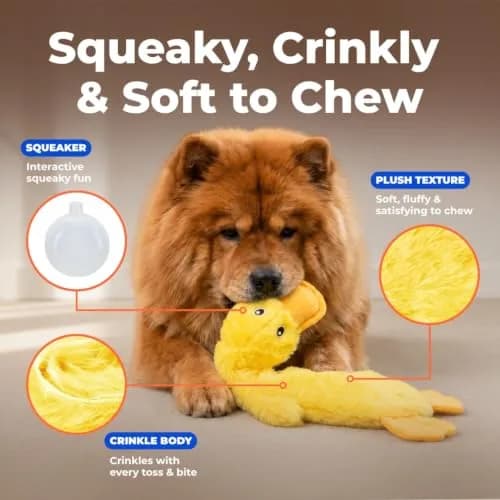 Best Pet Supplies Interactive Squeaky Dog Toy - Crinkle Duck, Yellow | No Mess, Durable & Fun (70-120 chars) thumbnail 3