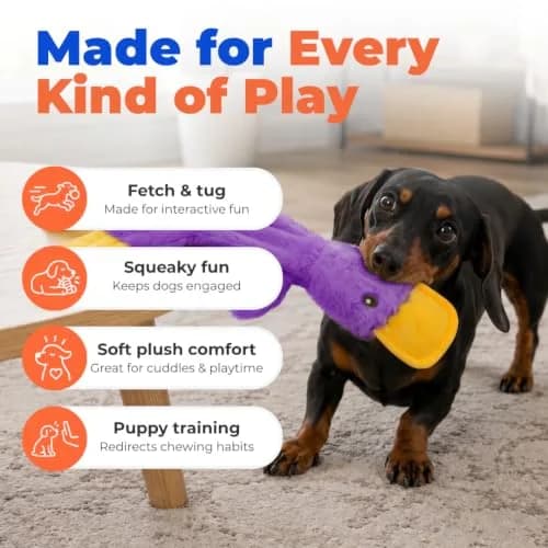 Best Pet Supplies Interactive Squeaky Dog Toy - Crinkle Duck, Purple | No Stuffing, Crinkle Paper, 15" thumbnail 4