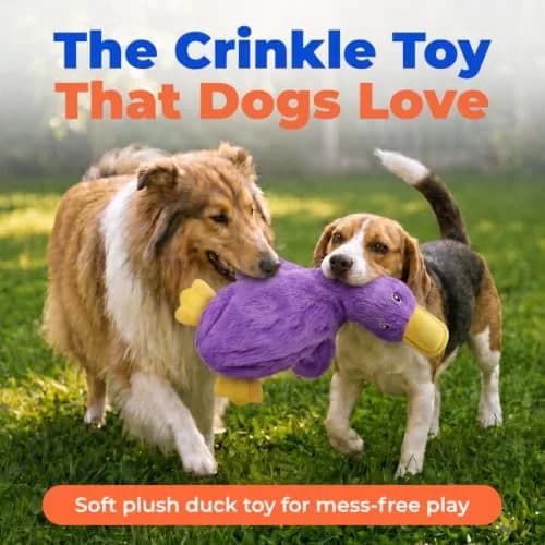 Best Pet Supplies Interactive Squeaky Dog Toy - Crinkle Duck, Purple | No Stuffing, Crinkle Paper, 15" thumbnail 2