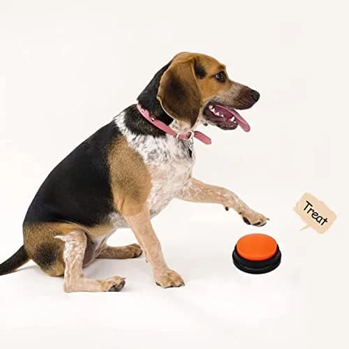 OFVENS Voice Recording Button 4 Packs (Rose Red+Dark Blue+Green+Orange) | Recordable Sound Button for Pet Training & Fun Gifts thumbnail 2