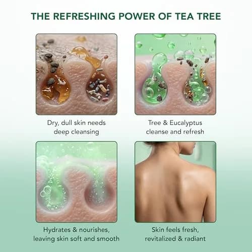 Botanic Hearth Eucalyptus & Tea Tree Body Wash – 16 fl oz | Refreshing, Hydrating & Sulfate-Free thumbnail 4