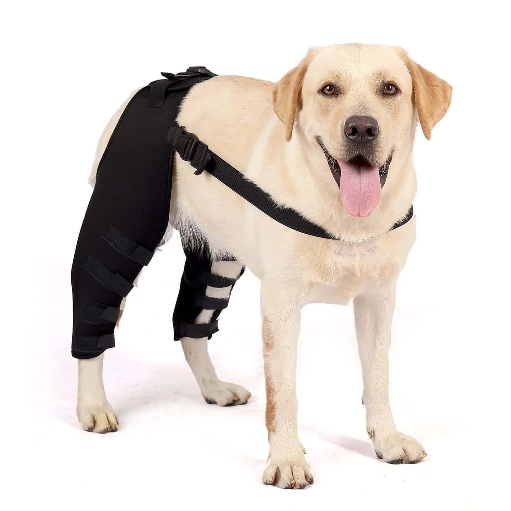 Zunea Dog Leg Brace for Hind Leg ACL CCL Tear Support M - Black | Compression Wrap for Arthritis & Injury Recovery - main product image