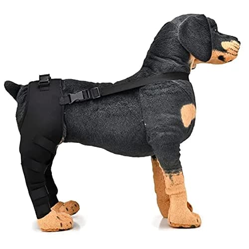 Zunea Dog Leg Brace for Hind Leg ACL CCL Tear Support | Adjustable, Durable, Fits Small to Large Dogs thumbnail 5