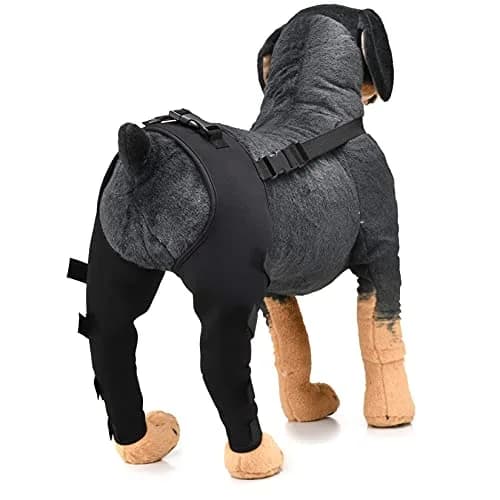Zunea Dog Leg Brace for Hind Leg ACL CCL Tear Support | Adjustable, Durable, Fits Small to Large Dogs thumbnail 6