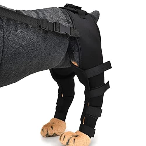 Zunea Dog Leg Brace for Hind Leg ACL CCL Tear Support | Adjustable, Durable, Fits Small to Large Dogs thumbnail 7