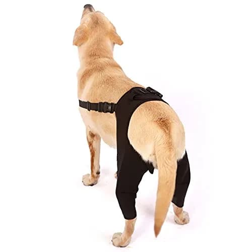 Zunea Dog Leg Brace for Hind Leg ACL CCL Tear Support L | Neoprene Compression Sleeve for Arthritis & Injury Recovery thumbnail 2