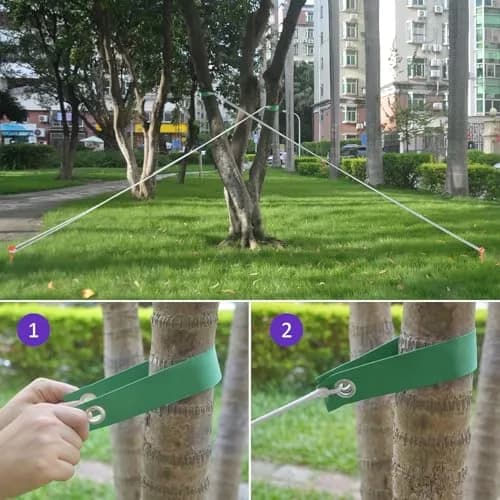 FCENDS Tree Support Straps for Staking, 8 PCS Green | 39.9 cm (15.8 In) Nylon thumbnail 6
