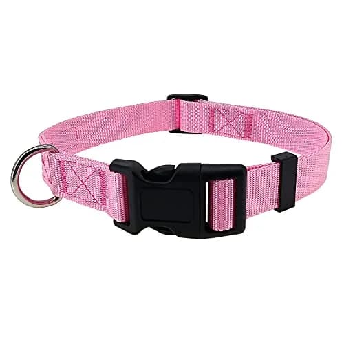 Penseepet Dog Collar, Adjustable Nylon, Pink, Small | Stylish & Comfortable Daily Wear thumbnail 5