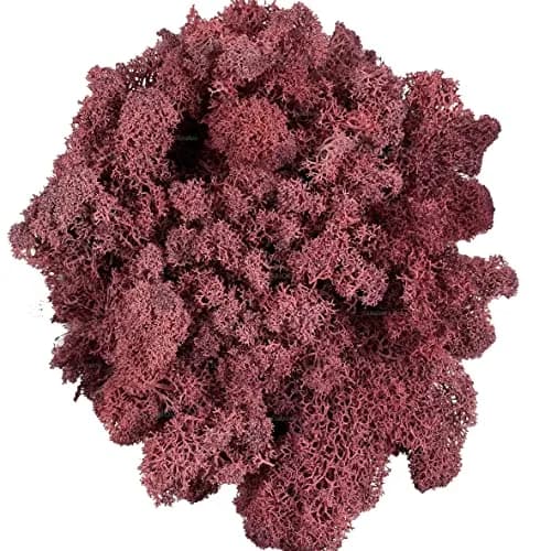 Gusaloo Artificial Moss Preserved 3.5oz | Long-Lasting Indoor Decor with Natural Green & Pink thumbnail 1