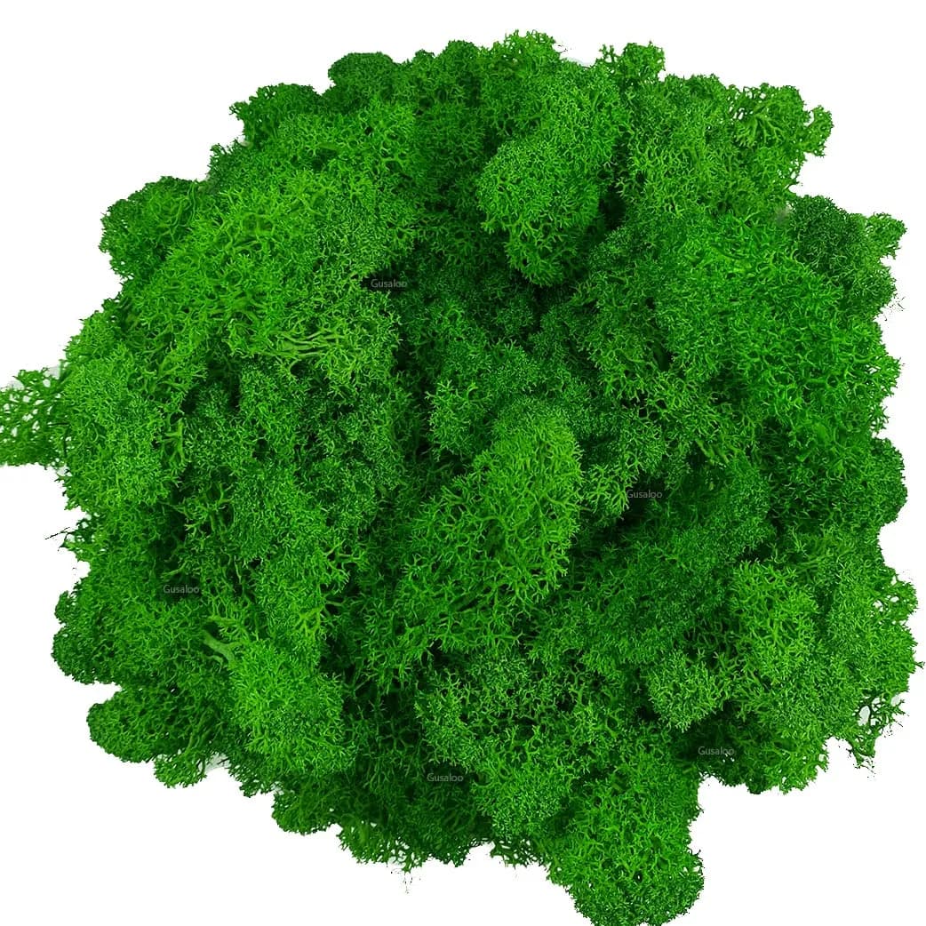 Gusaloo Artificial Moss Preserved Green Moss 3.5oz | Long-Lasting Indoor Decor