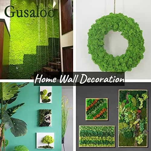 Gusaloo Artificial Moss Preserved Green Moss 3.5oz | Long-Lasting Indoor Decor thumbnail 4