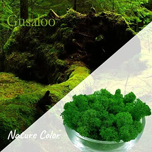 Gusaloo Artificial Moss Preserved Green Moss 3.5oz | Long-Lasting Indoor Decor thumbnail 2