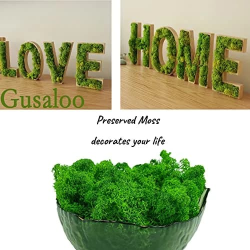 Gusaloo Artificial Moss Preserved Green Moss 3.5oz | Long-Lasting Indoor Decor thumbnail 3